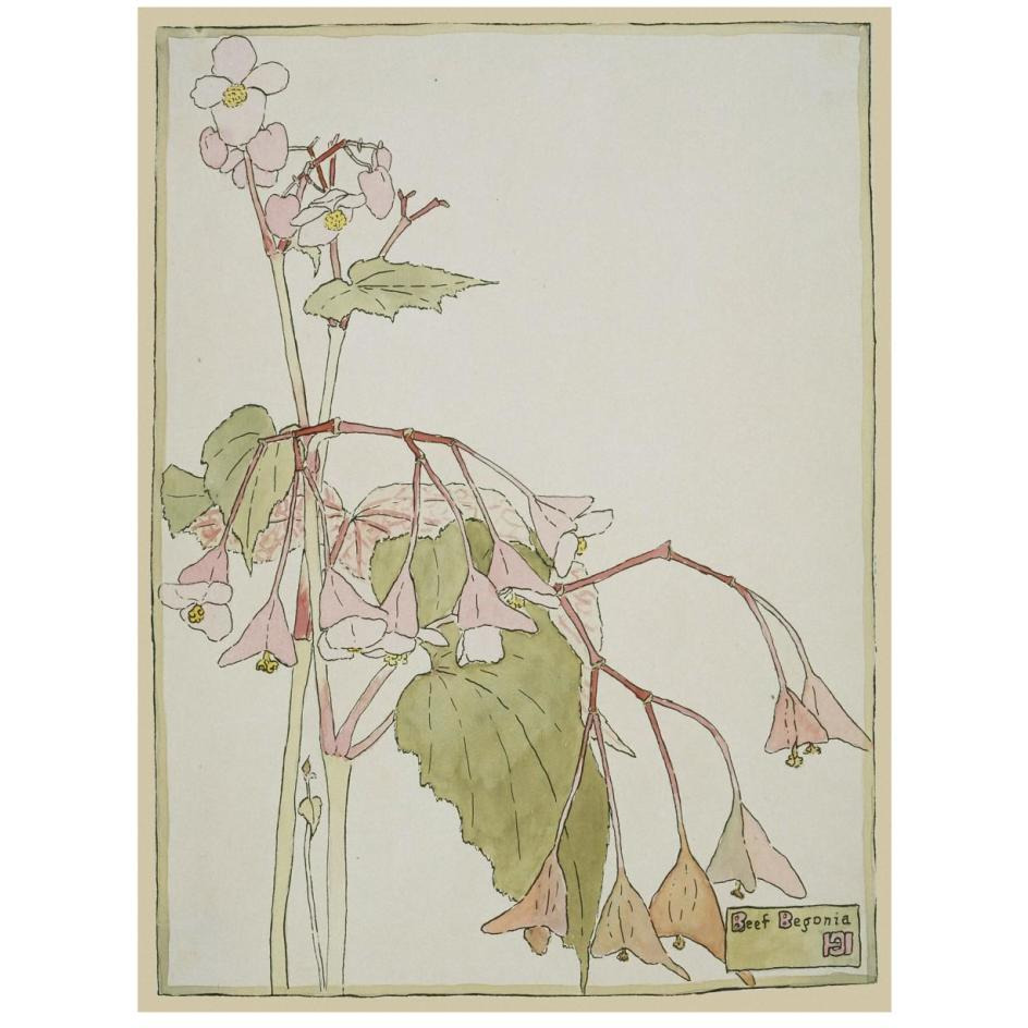 Beef Begonia-Paper Art-20&quotx26"