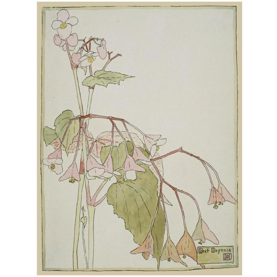 Beef Begonia-Paper Art-26&quotx34"