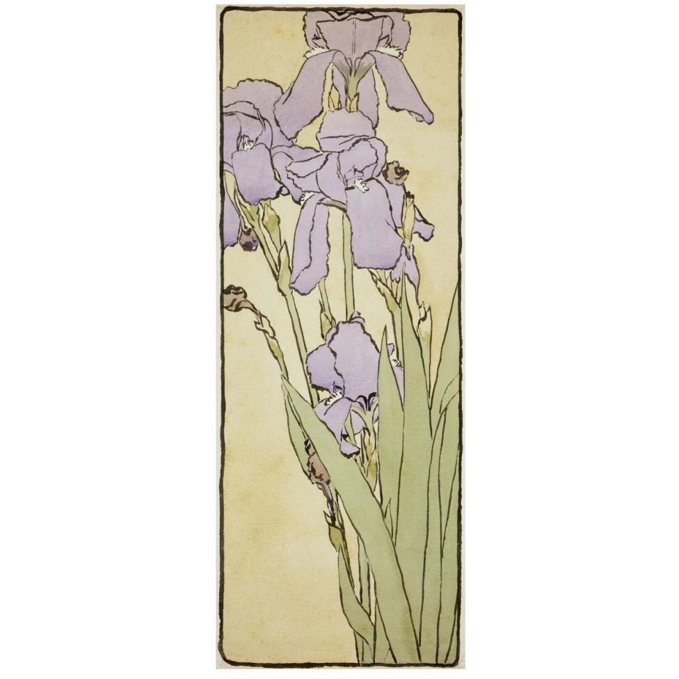 Iris-Paper Art-19&quotx46"