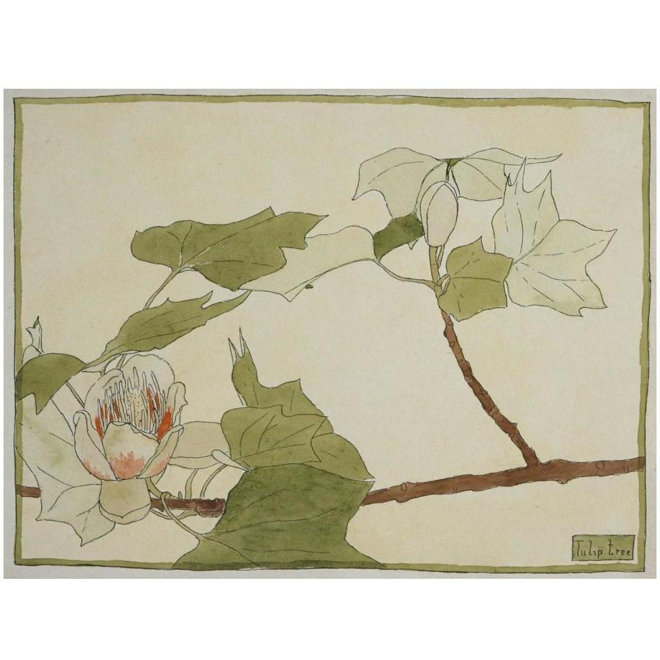 Tulip Tree-Paper Art-18&quotx14"