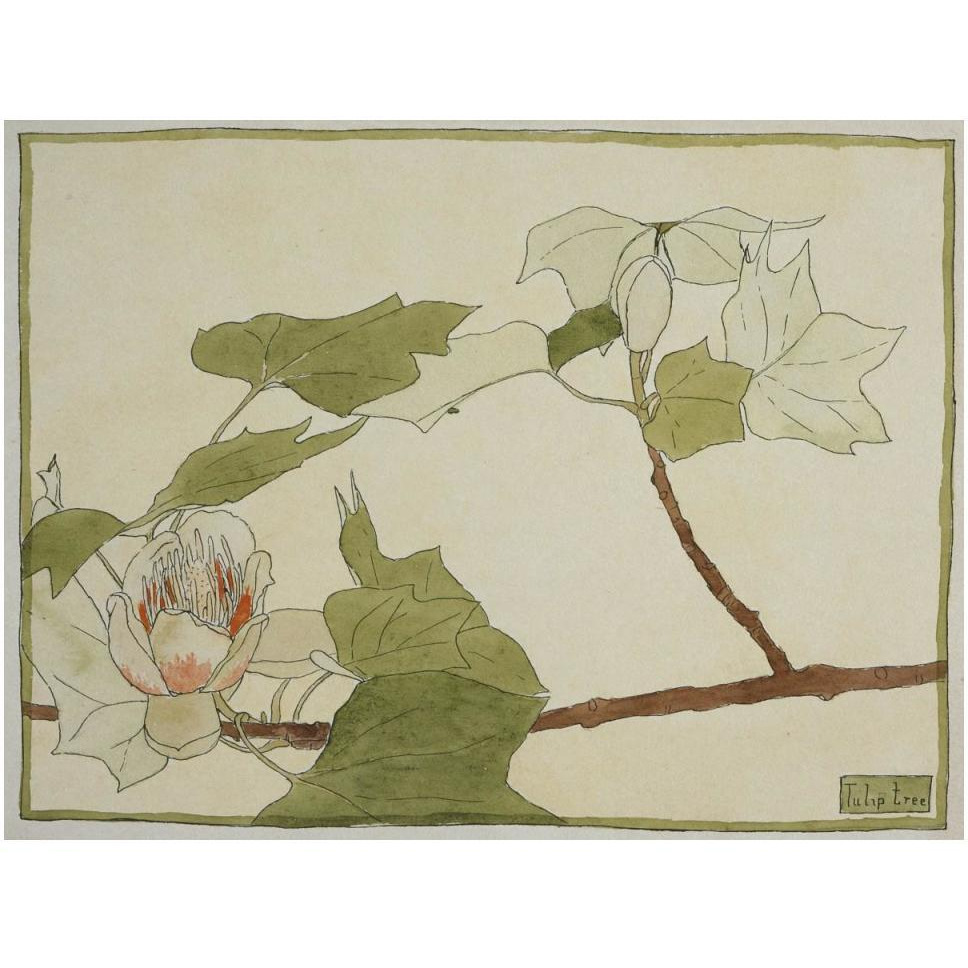 Tulip Tree-Paper Art-50&quotx38"