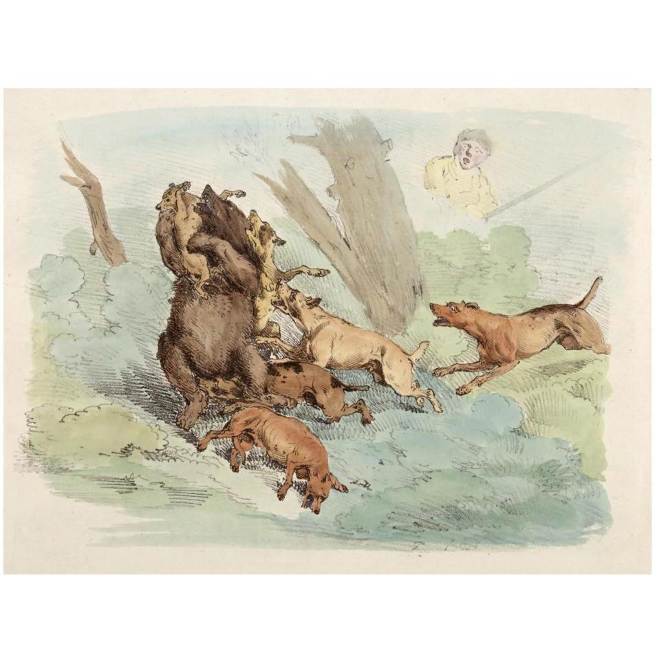 Hunting Dogs Attacking A Bear, 1817-Paper Art-18&quotx14"