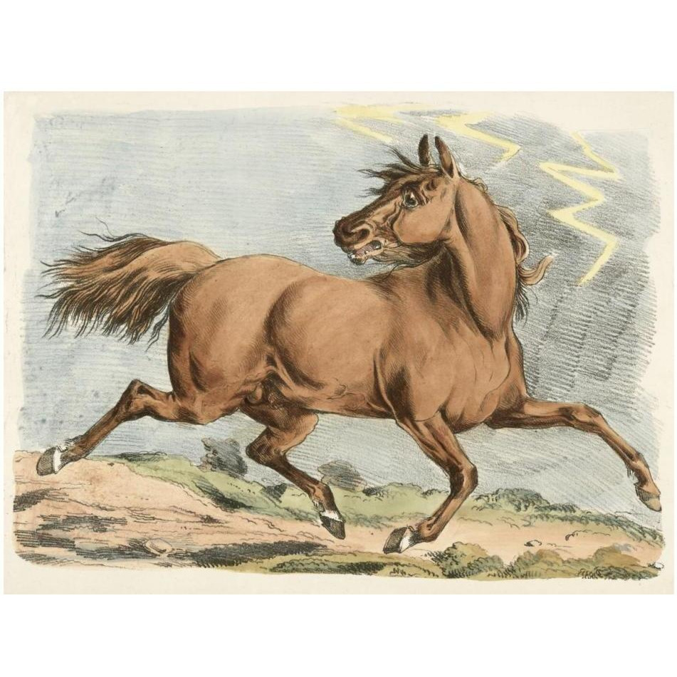 Brown Horse Running, 1817-Paper Art-18&quotx14"