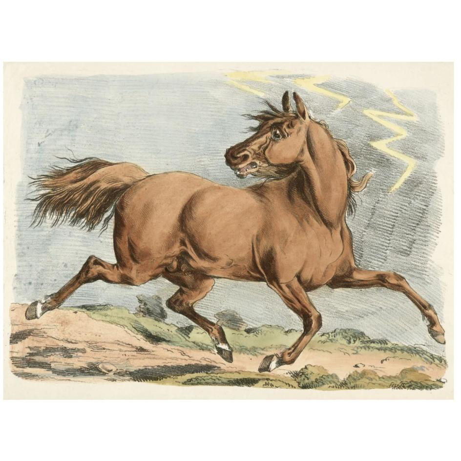 Brown Horse Running, 1817-Paper Art-26&quotx20"