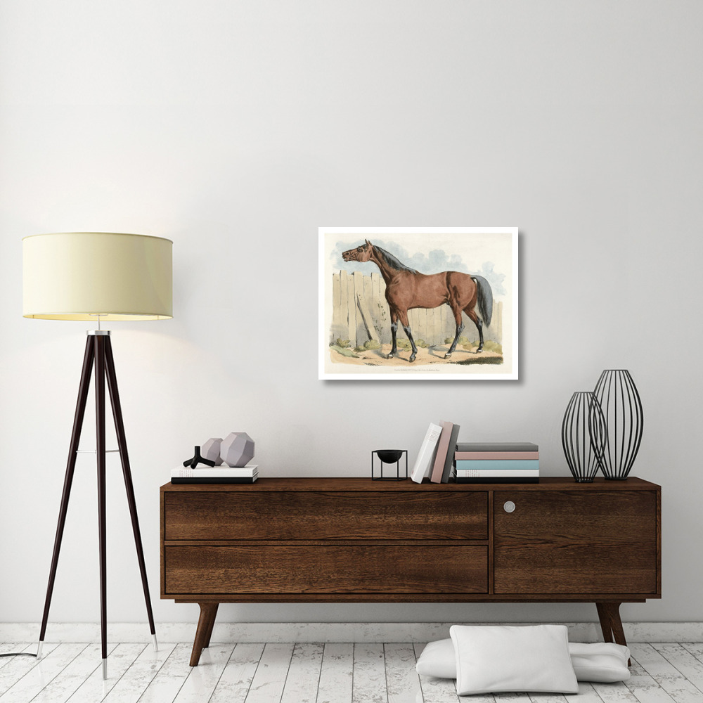Dark-Brown Horse, 1817-Paper Art-34&quotx26"