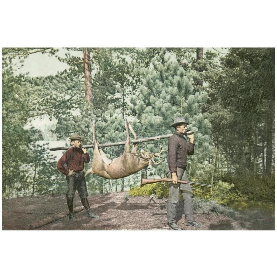 Hunting, Adirondacks, N.Y., 1898-Paper Art-32&quotx22"