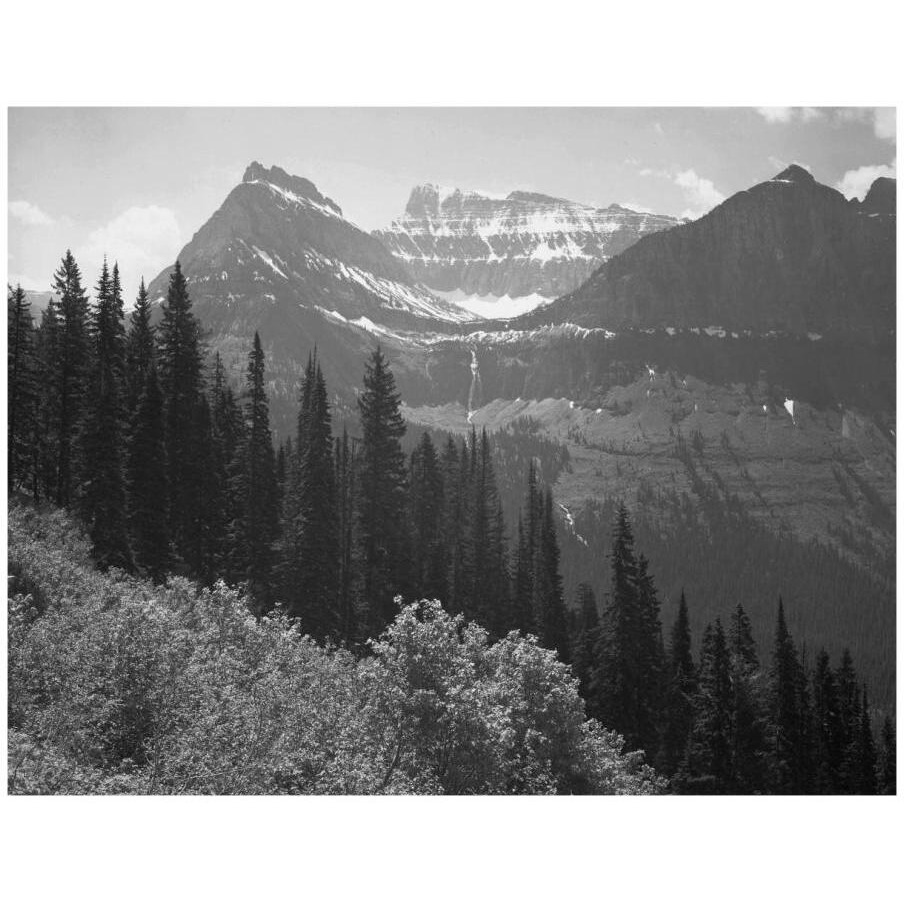 Trees, Bushes and Mountains, Glacier National Park, Montana - National Parks and Monuments, 1941-Paper Art-18&quotx14"