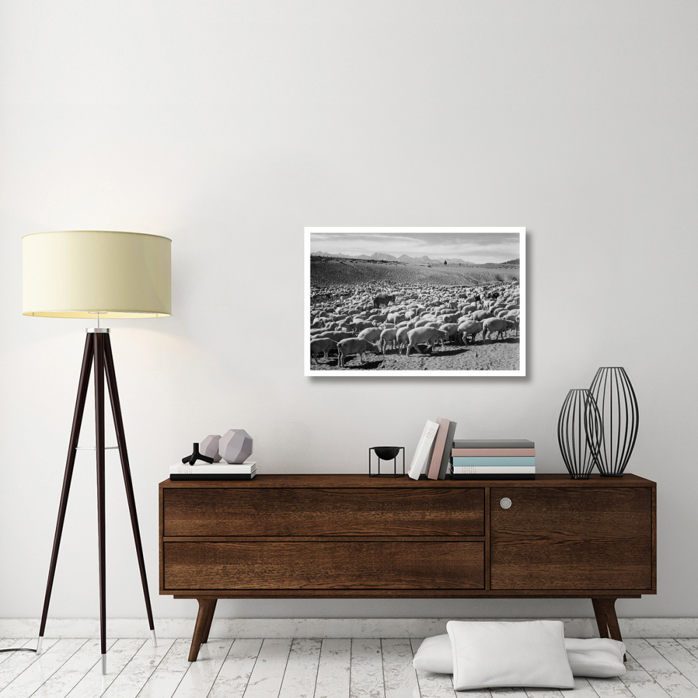 Flock in Owens Valley - National Parks and Monuments, 1941-Paper Art-38&quotx26"