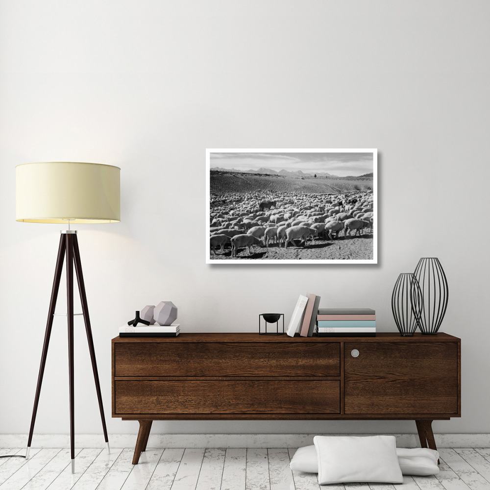 Flock in Owens Valley - National Parks and Monuments, 1941-Paper Art-42&quotx28"