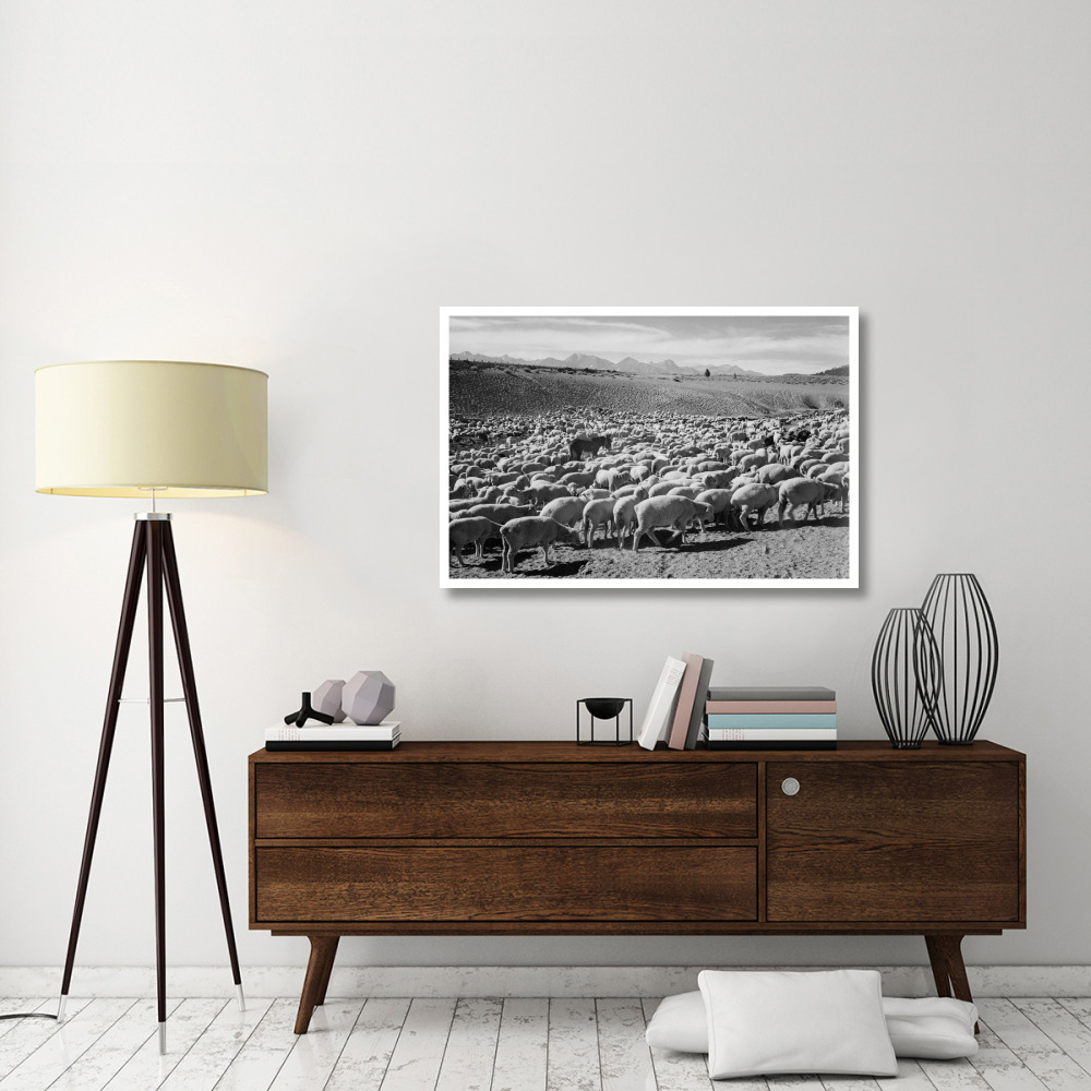 Flock in Owens Valley - National Parks and Monuments, 1941-Paper Art-46&quotx31"