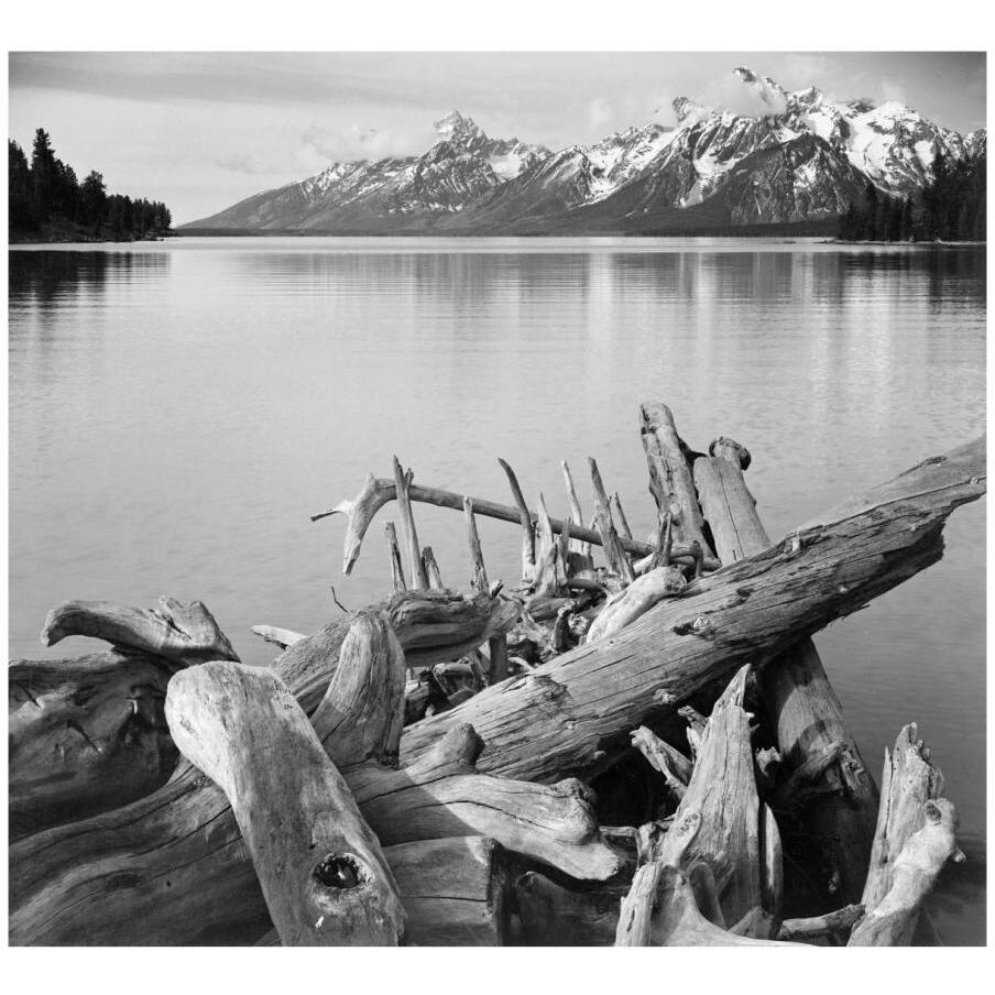 Driftwood on shore of Jackson Lake, with Teton Range in background, Grand Teton National Park, Wyoming, 1941-Paper Art-18&quotx17"