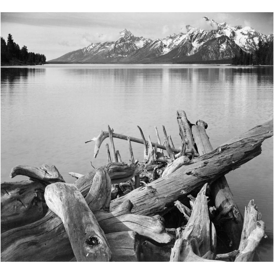 Driftwood on shore of Jackson Lake, with Teton Range in background, Grand Teton National Park, Wyoming, 1941-Paper Art-24&quotx22"