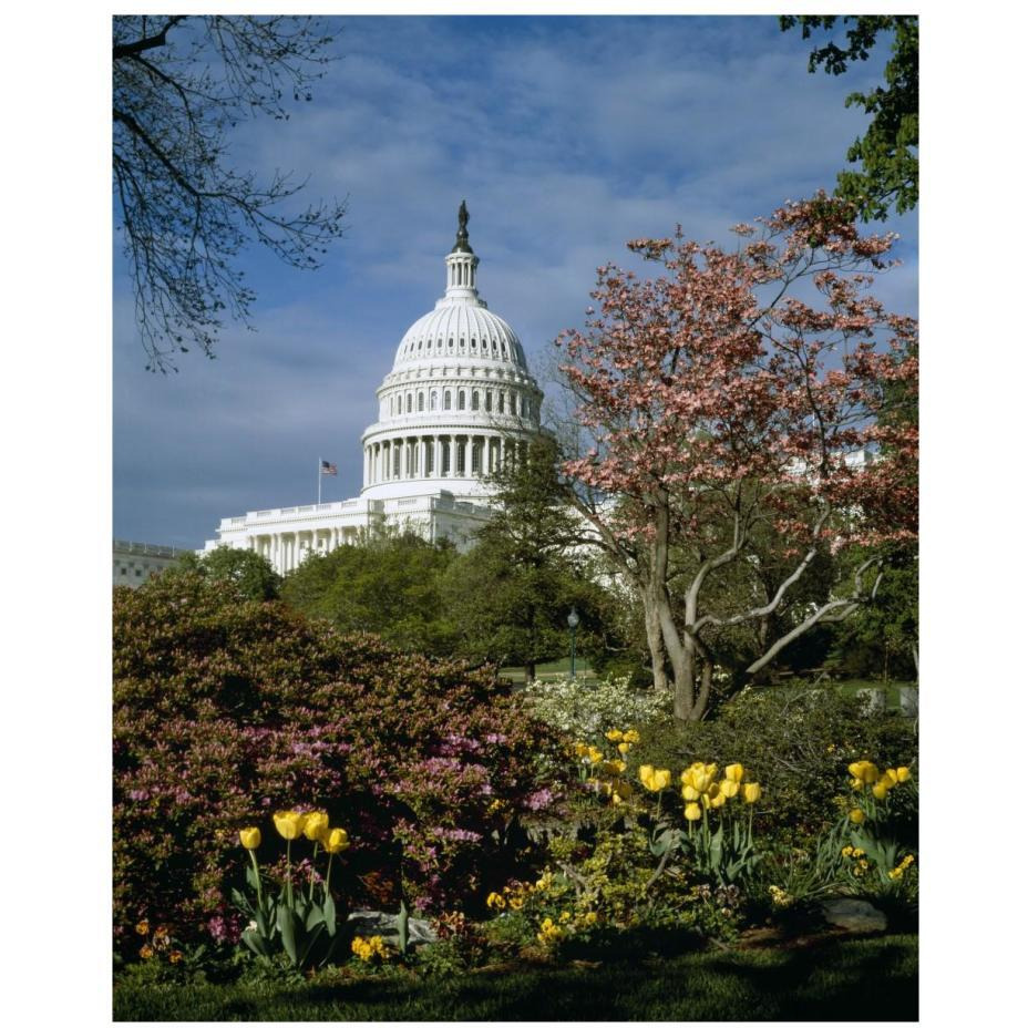 U.S. Capitol, Washington, D.C. Number 3-Paper Art-18&quotx22"