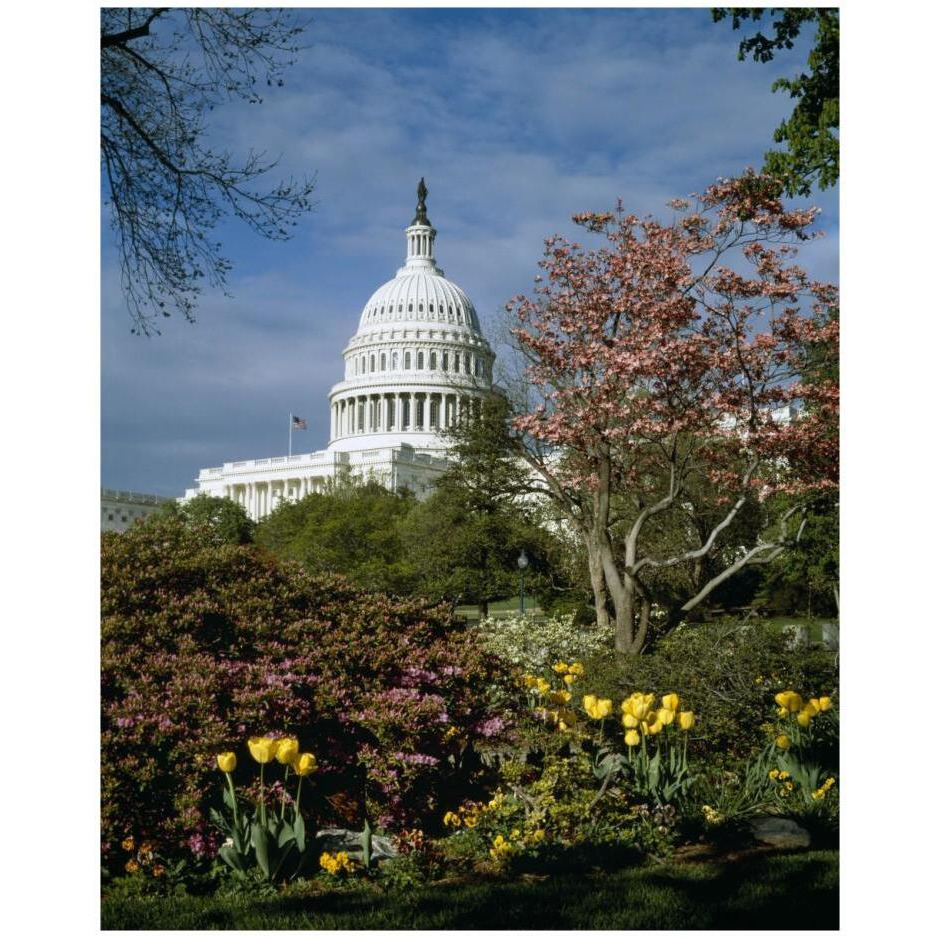 U.S. Capitol, Washington, D.C. Number 3-Paper Art-22&quotx26"