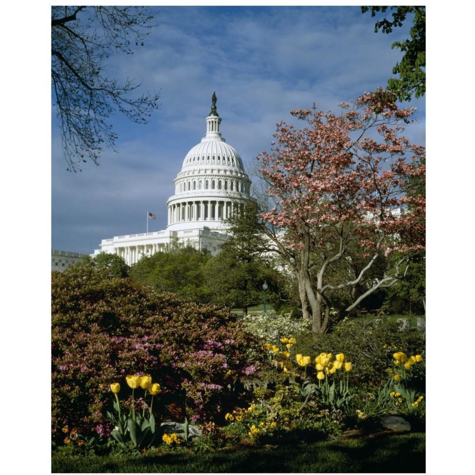 U.S. Capitol, Washington, D.C. Number 3-Paper Art-30&quotx37"