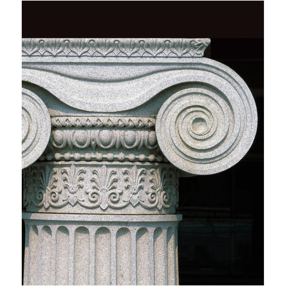 Column detail, U.S. Treasury Building, Washington, D.C.-Paper Art-21&quotx24"
