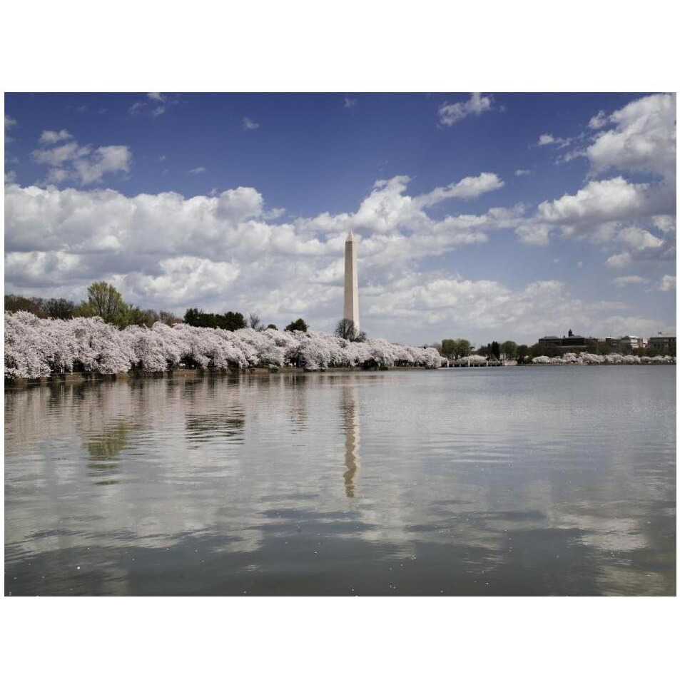 Washington Monument, Washington, D.C.-Paper Art-18&quotx14"