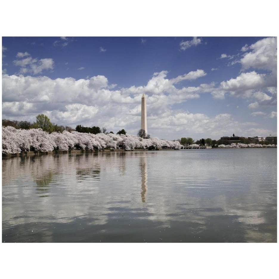 Washington Monument, Washington, D.C.-Paper Art-26&quotx20"