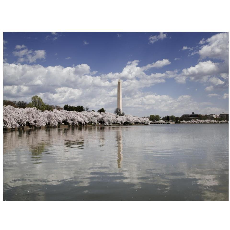 Washington Monument, Washington, D.C.-Paper Art-34&quotx26"