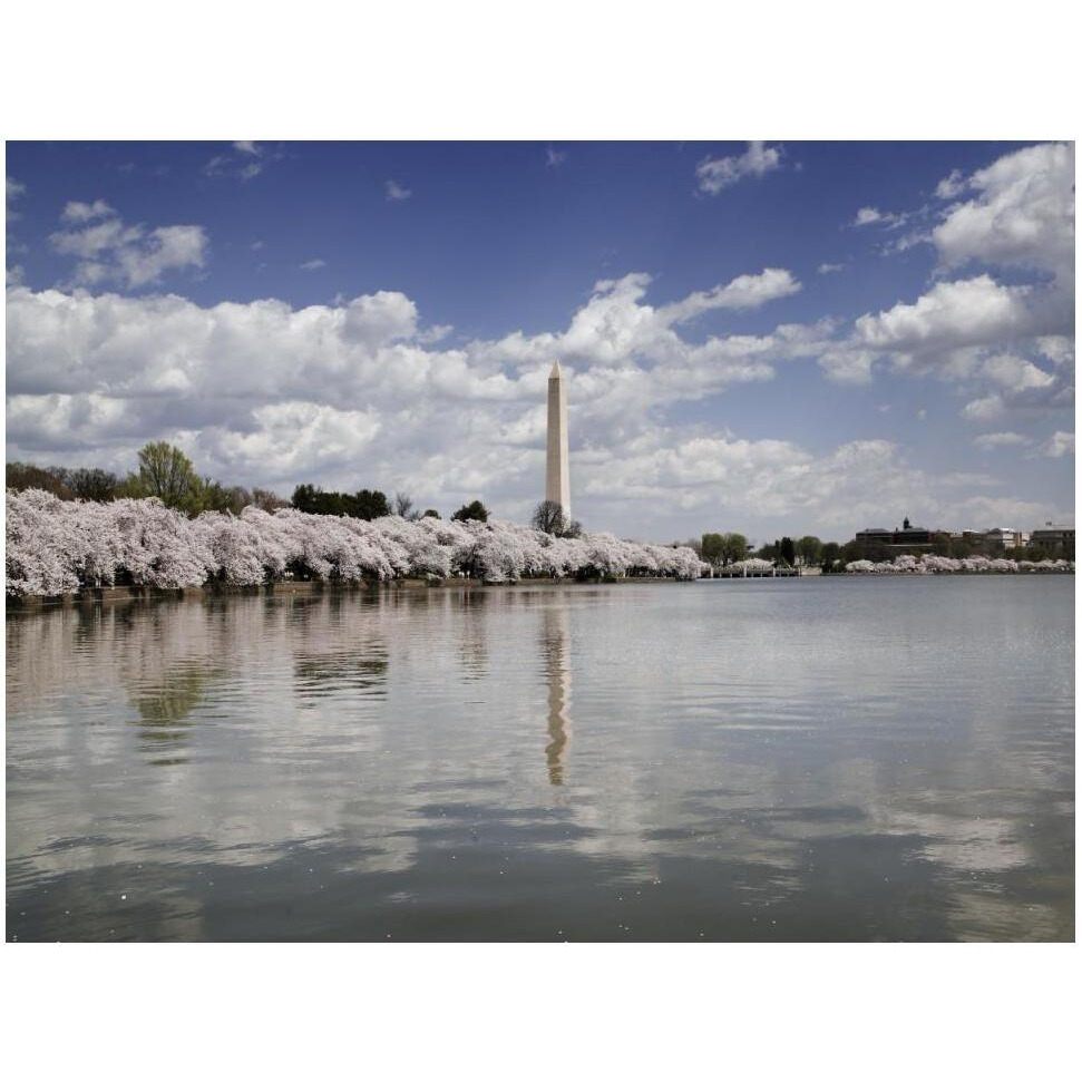Washington Monument, Washington, D.C.-Paper Art-50&quotx38"