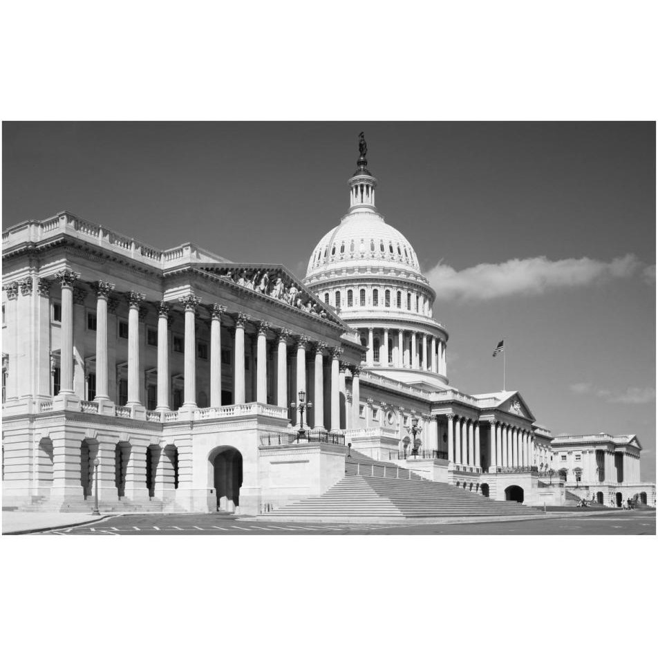 U.S. Capitol, Washington, D.C. - Black and White Variant-Paper Art-38&quotx25"