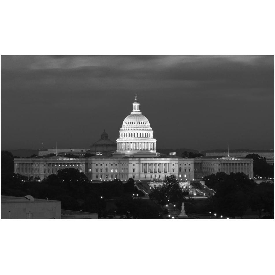 U.S. Capitol, Washington, D.C. Number 2 - Black and White Variant-Paper Art-38&quotx24"