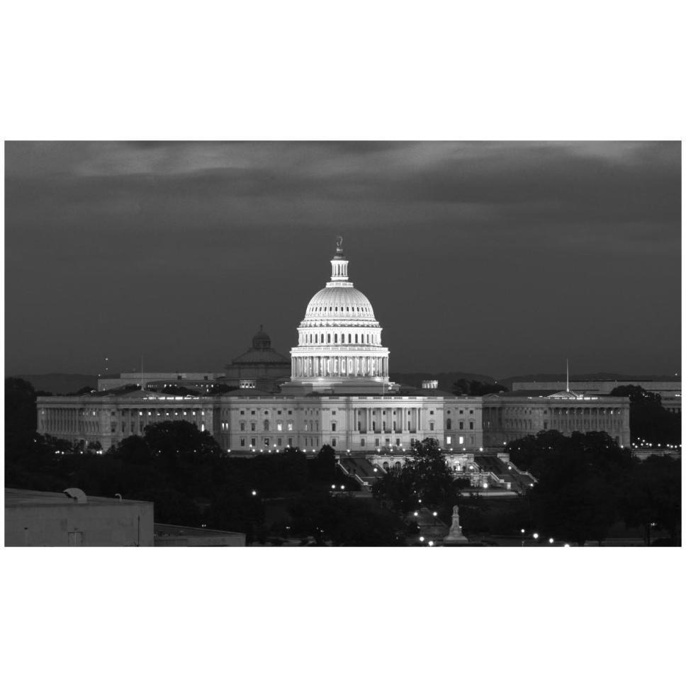 U.S. Capitol, Washington, D.C. Number 2 - Black and White Variant-Paper Art-46&quotx28"