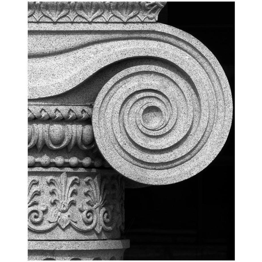 Column detail, U.S. Treasury Building, Washington, D.C. - Black and White Variant-Paper Art-18&quotx22"