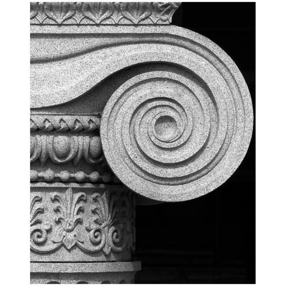 Column detail, U.S. Treasury Building, Washington, D.C. - Black and White Variant-Paper Art-22&quotx26"