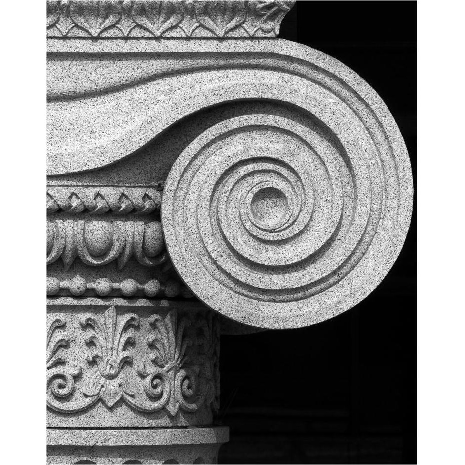 Column detail, U.S. Treasury Building, Washington, D.C. - Black and White Variant-Paper Art-24&quotx30"