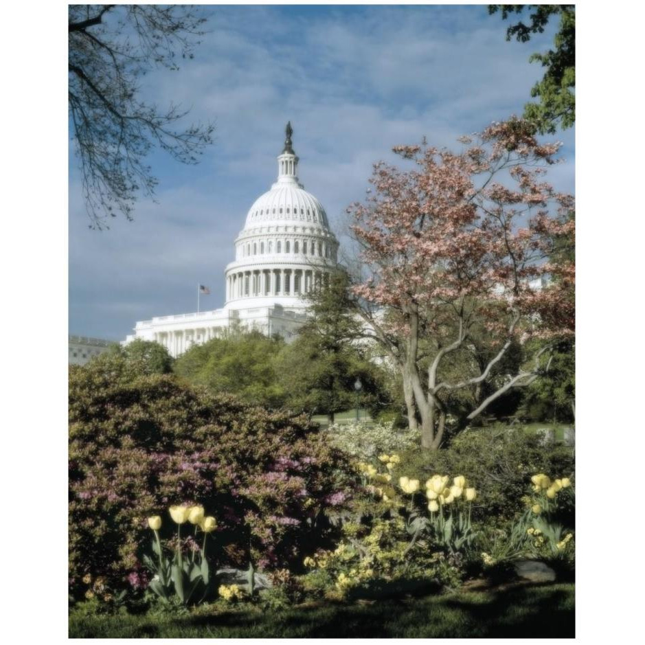 U.S. Capitol, Washington, D.C. Number 3 - Vintage Style Photo Tint Variant-Paper Art-22&quotx26"