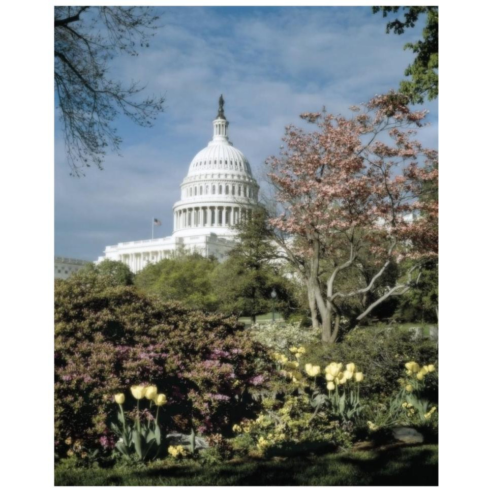 U.S. Capitol, Washington, D.C. Number 3 - Vintage Style Photo Tint Variant-Paper Art-30&quotx37"