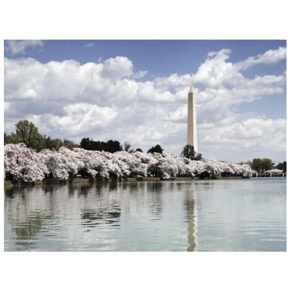 Washington Monument, Washington, D.C. - Vintage Style Photo Tint Variant-Paper Art-18&quotx14"