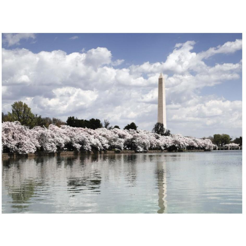 Washington Monument, Washington, D.C. - Vintage Style Photo Tint Variant-Paper Art-26&quotx20"