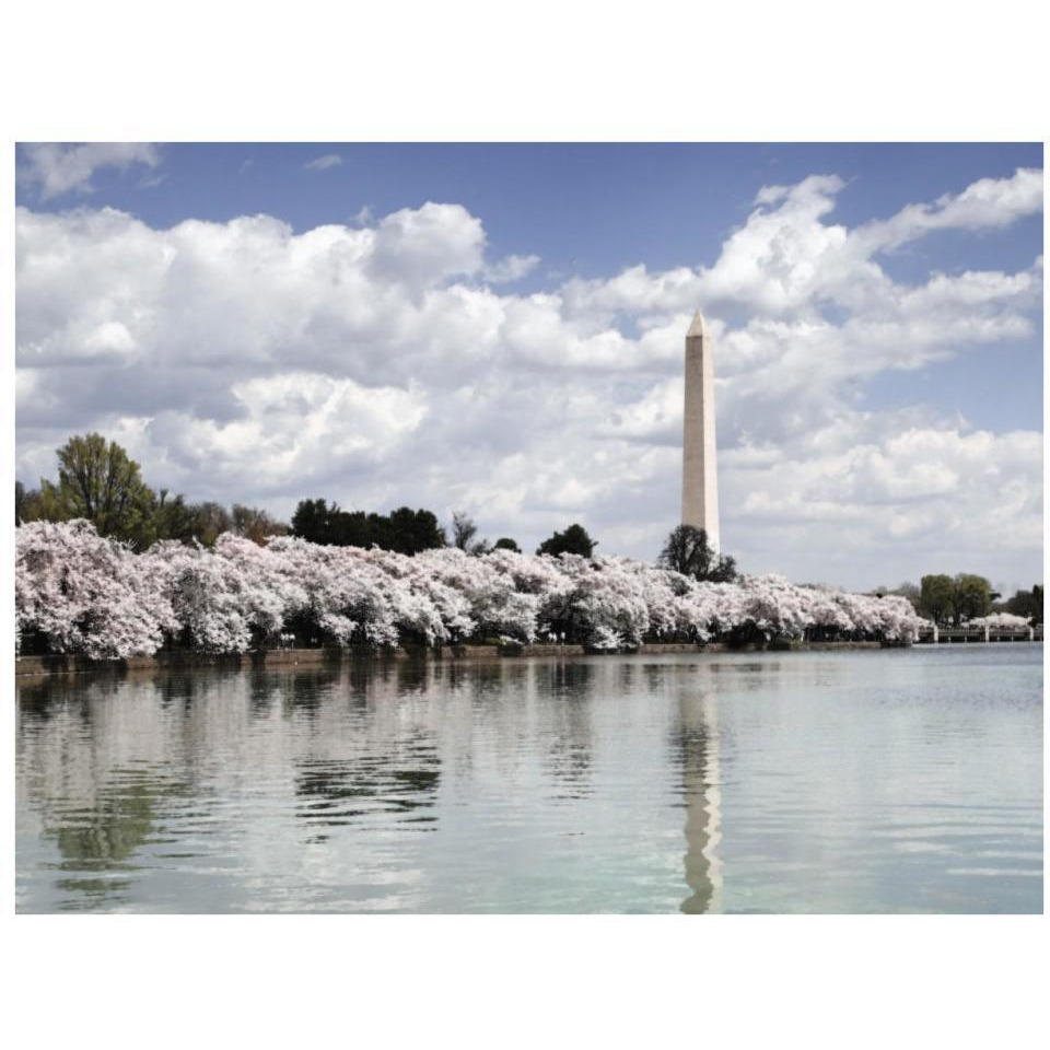 Washington Monument, Washington, D.C. - Vintage Style Photo Tint Variant-Paper Art-34&quotx26"