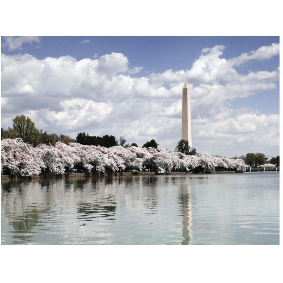 Washington Monument, Washington, D.C. - Vintage Style Photo Tint Variant-Paper Art-50&quotx38"