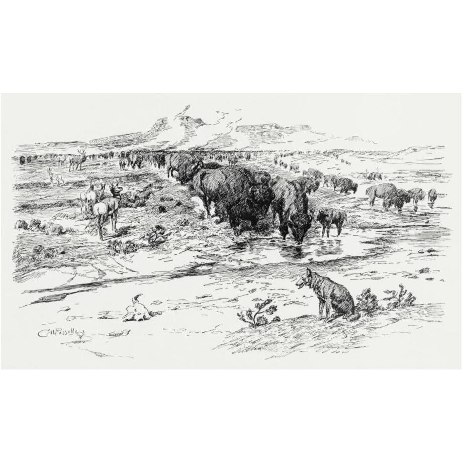 Nature's Cattle, 1899-Paper Art-24&quotx15"
