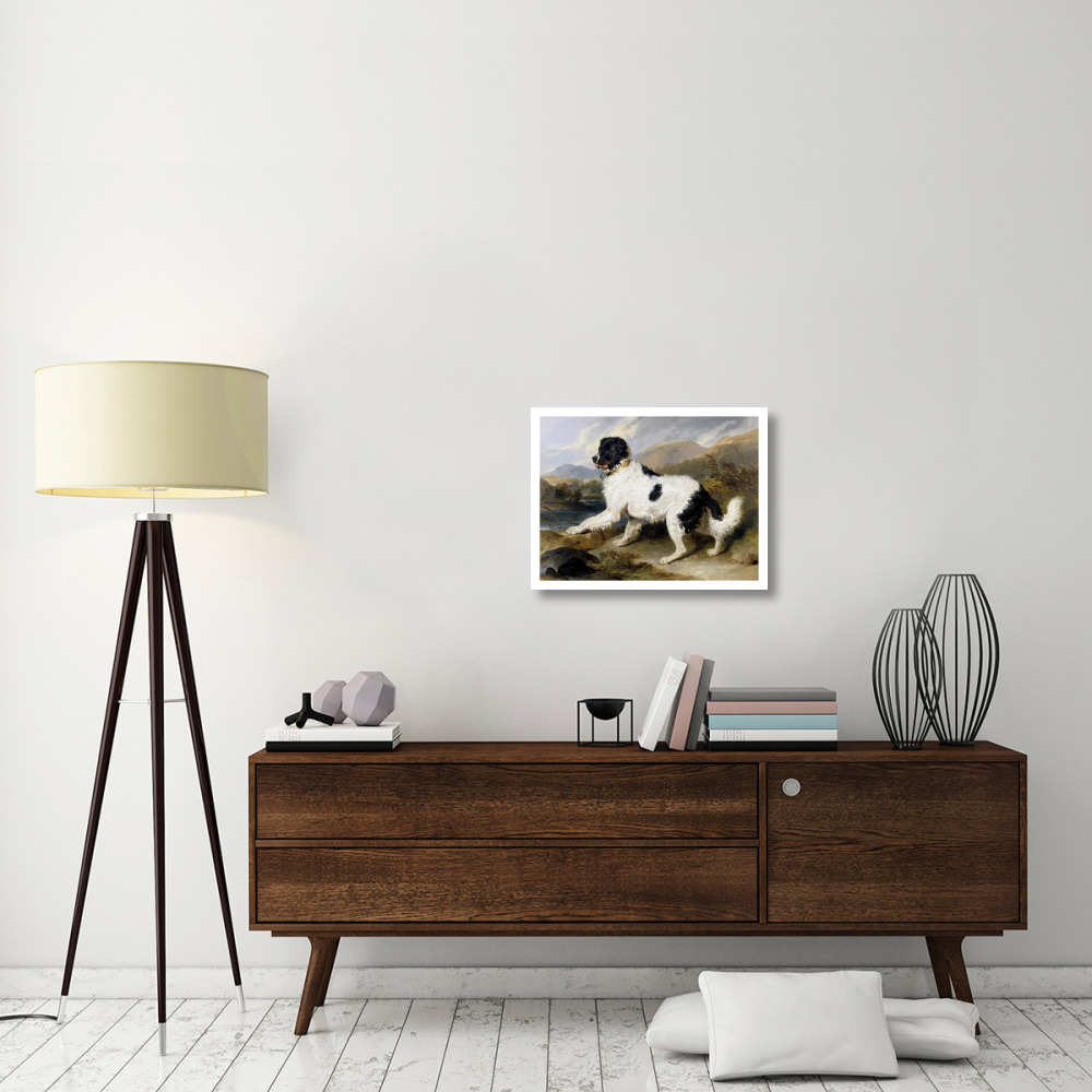 A Newfoundland Dog-Paper Art-26&quotx20"