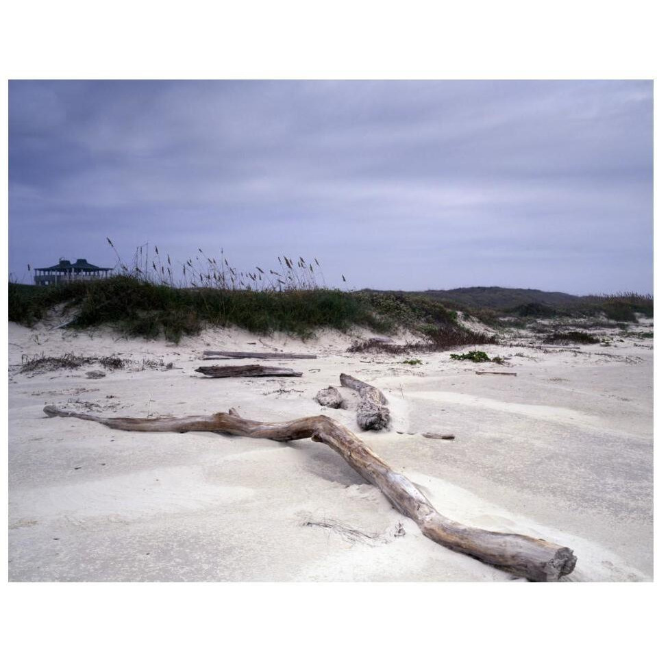 Driftwood on beach at Padre Island, TX-Paper Art-18&quotx14"