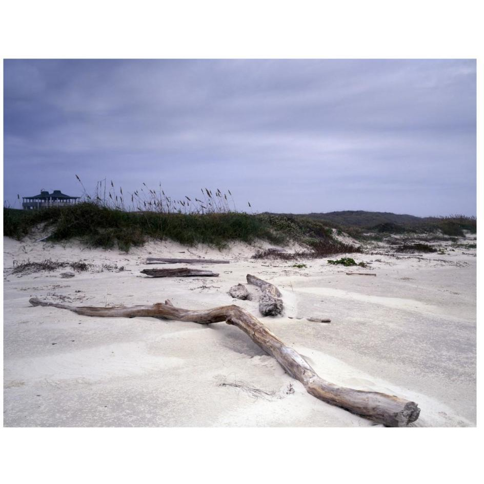 Driftwood on beach at Padre Island, TX-Paper Art-26&quotx20"