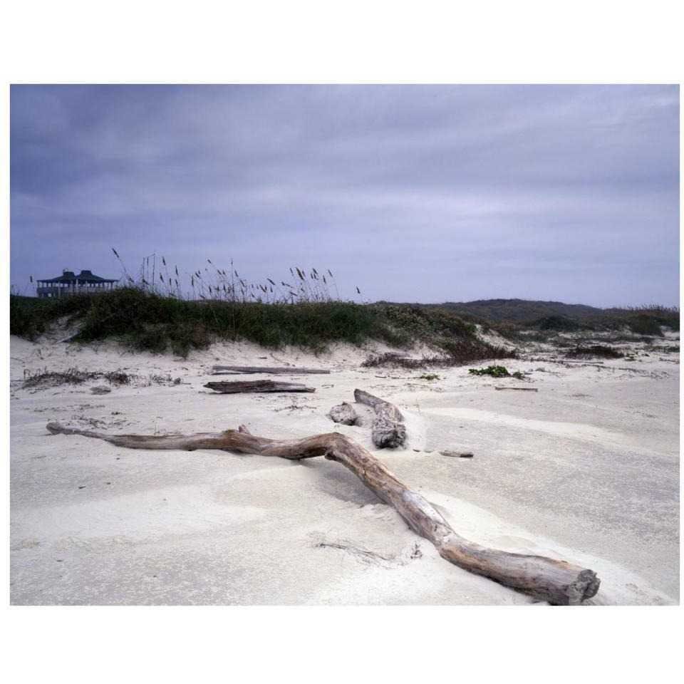 Driftwood on beach at Padre Island, TX-Paper Art-34&quotx26"