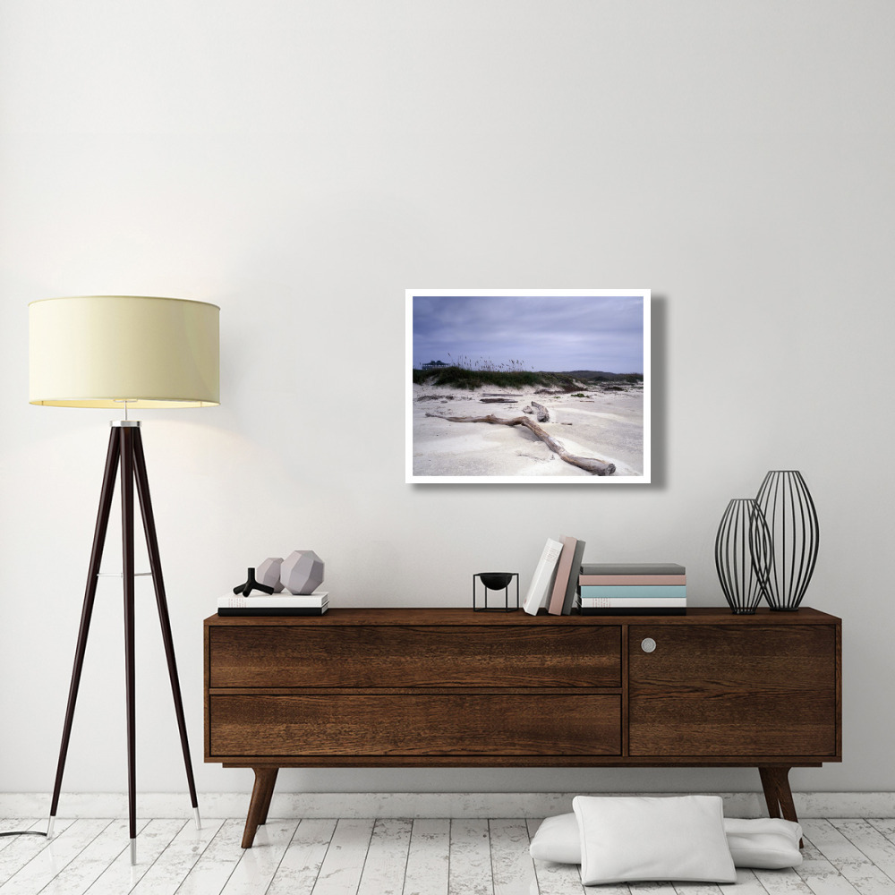 Driftwood on beach at Padre Island, TX-Paper Art-34&quotx26"