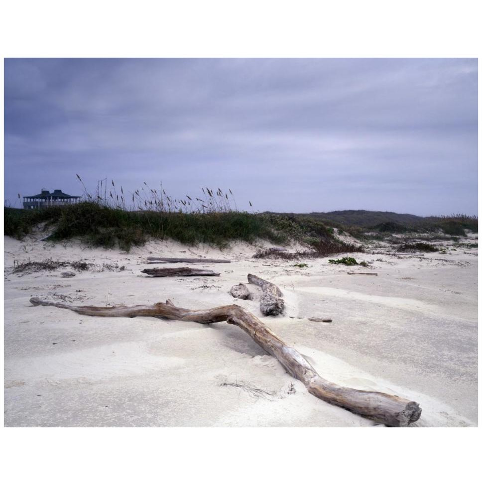 Driftwood on beach at Padre Island, TX-Paper Art-42&quotx32"