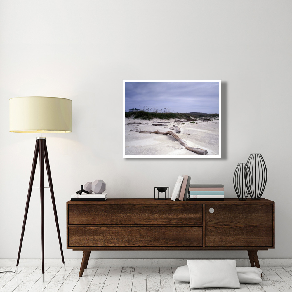 Driftwood on beach at Padre Island, TX-Paper Art-42&quotx32"