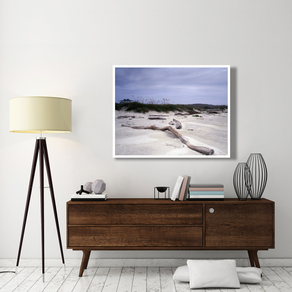 Driftwood on beach at Padre Island, TX-Paper Art-50&quotx38"