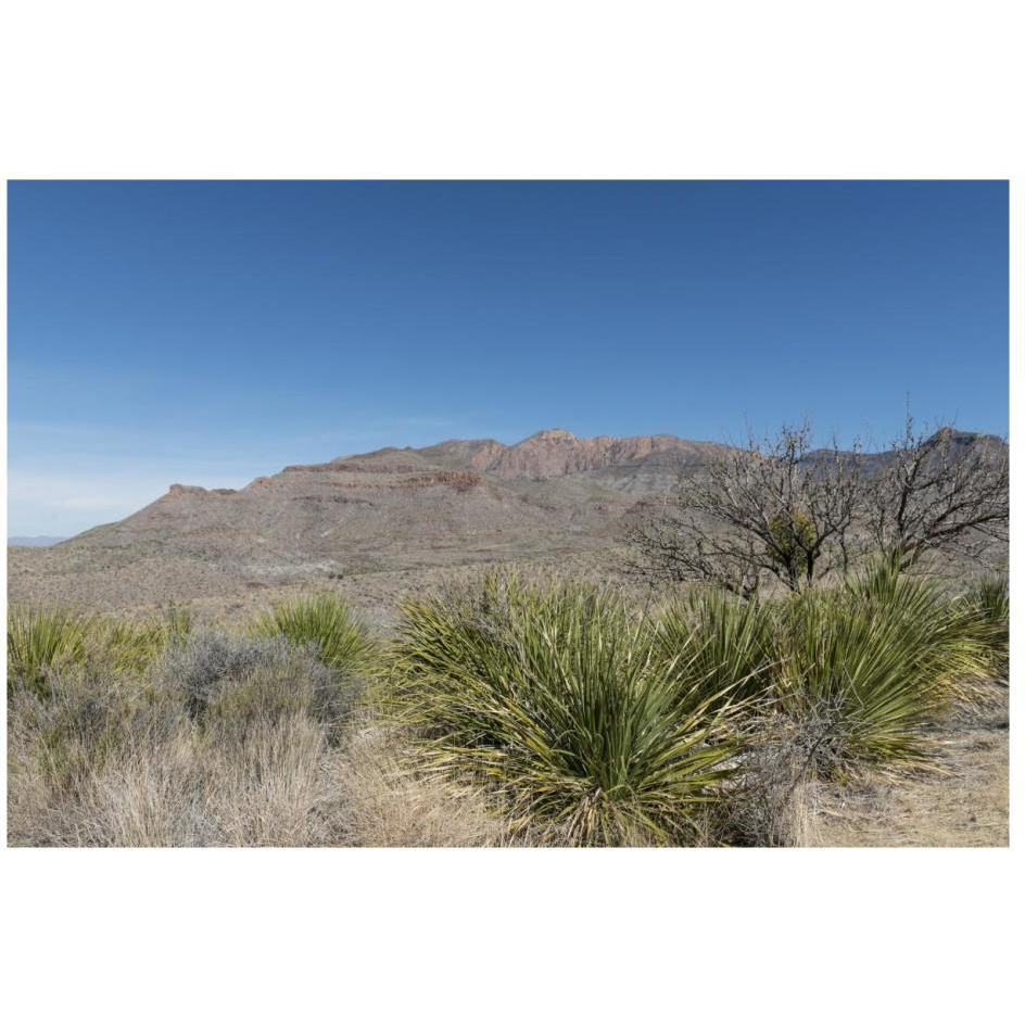 Scenery in Big Bend National Park, TX-Paper Art-26&quotx18"