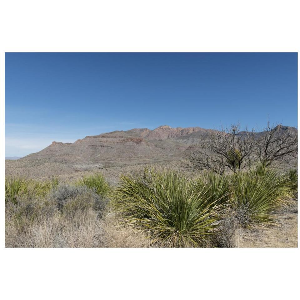 Scenery in Big Bend National Park, TX-Paper Art-32&quotx22"