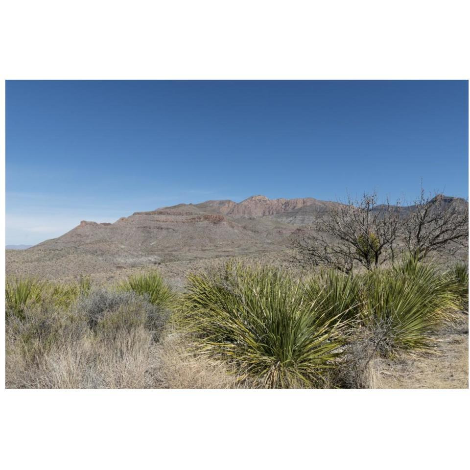 Scenery in Big Bend National Park, TX-Paper Art-38&quotx26"