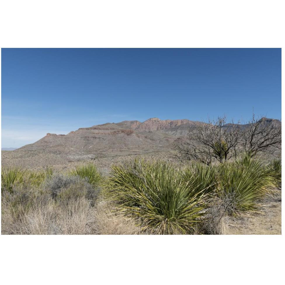Scenery in Big Bend National Park, TX-Paper Art-50&quotx34"