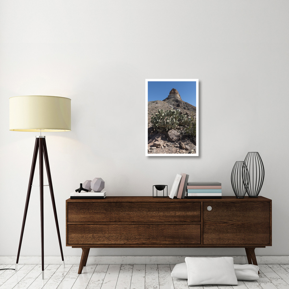 Prickly Pear Cactus and scenery in Big Bend National Park, TX-Paper Art-22&quotx32"